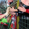 2.2.2013  FC Rot-Weiss Erfurt - VfL Osnabrueck 2-1_178